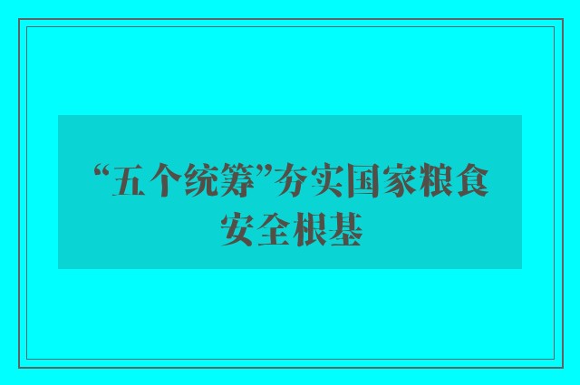 “五个统筹”夯实国家粮食安全根基