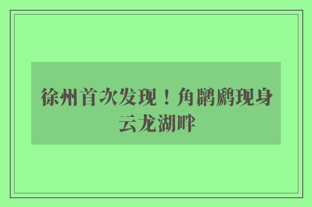 徐州首次发现！角䴙䴘现身云龙湖畔