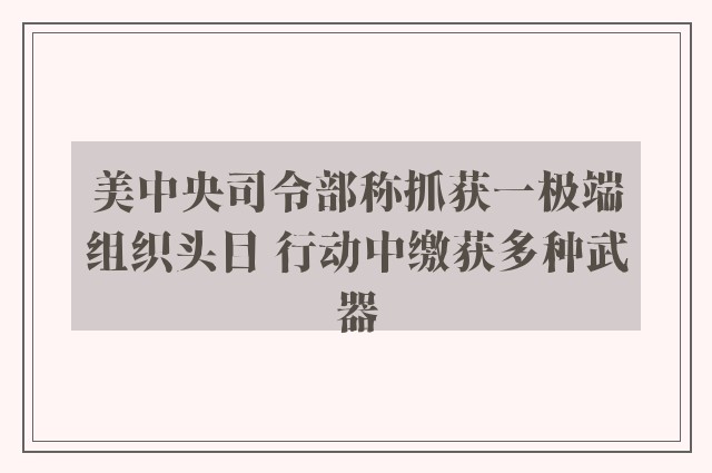 美中央司令部称抓获一极端组织头目 行动中缴获多种武器